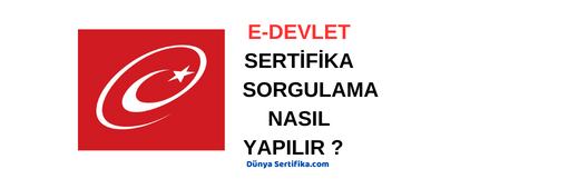 E Devlet Sertifika Sorgulama Nasıl Yapılır?